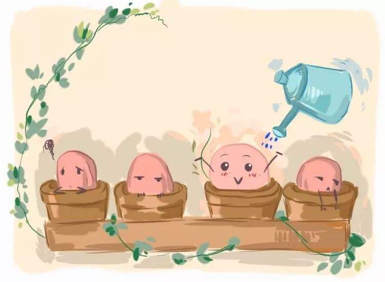 卵泡发育慢怎么调理？明白欲速则不达