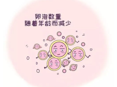 促排卵泡会自己排掉吗?
