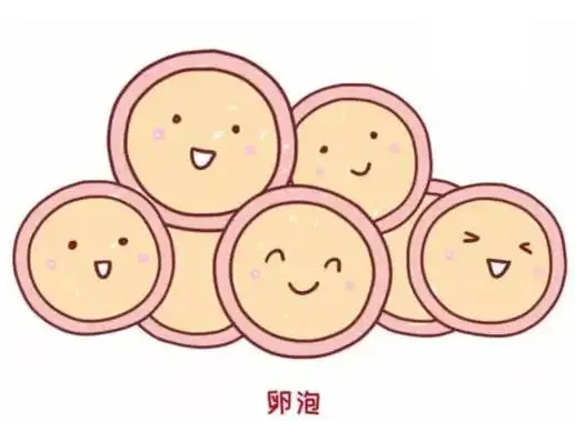 卵子储备严重不足该怎么办？