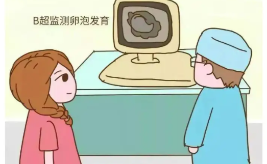 卵泡多少个为正常范围呢？